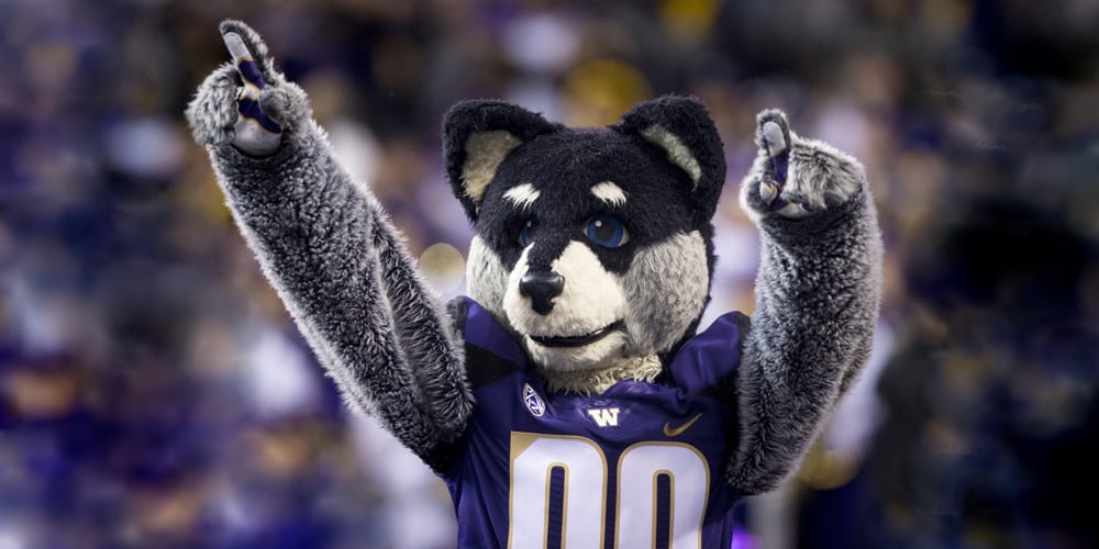 Harry the Husky points to crowd
